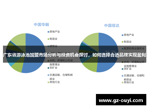 广东省游泳池加盟市场分析与投资机会探讨，如何选择合适品牌实现盈利